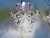 Silver Chrome and Crystal Glass Wall Lights attributed to Kinkeldey, 1970s, Set of 2 For Sale - Image 8 of 10