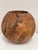 Sculptural Burl Wood Vessel Bowl For Sale In San Francisco - Image 6 of 12