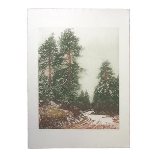 Catherine O'Connor "Alpine Highway Ii" Hand Signed Fine Art Etching, Pine Trees For Sale