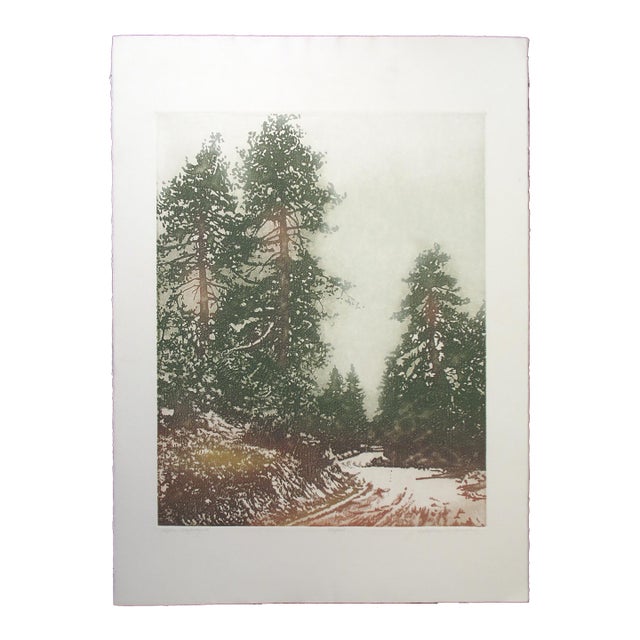 Catherine O'Connor "Alpine Highway Ii" Hand Signed Fine Art Etching, Pine Trees For Sale