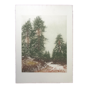 Catherine O'Connor "Alpine Highway Ii" Hand Signed Fine Art Etching, Pine Trees