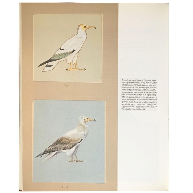 Vintage 1992 Howard Carter Before Tutankhamun by Nicholas Reeves and John H. Taylor Published by the British Museum. For Sale - Image 13 of 14
