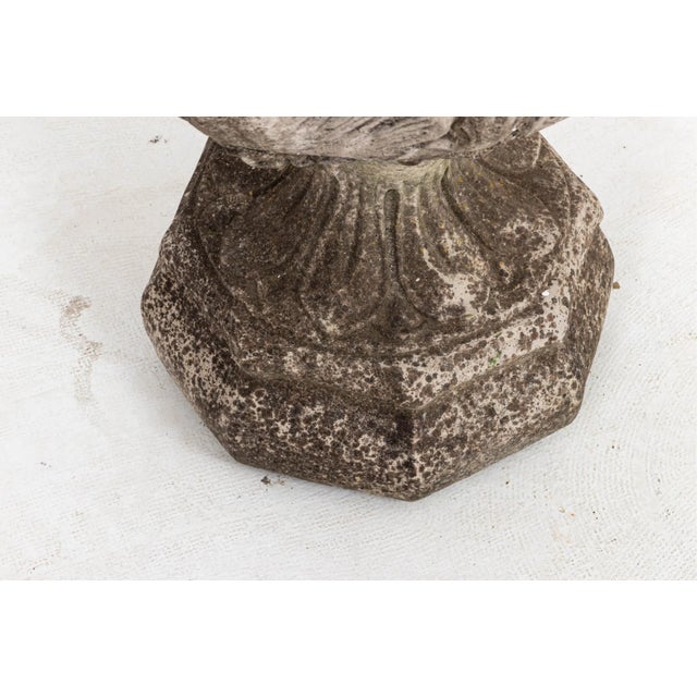 Gray Acanthus Concrete Leaf Planter For Sale - Image 8 of 10