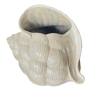 Ceramic Coastal Sea Shell Tissue Cover Box