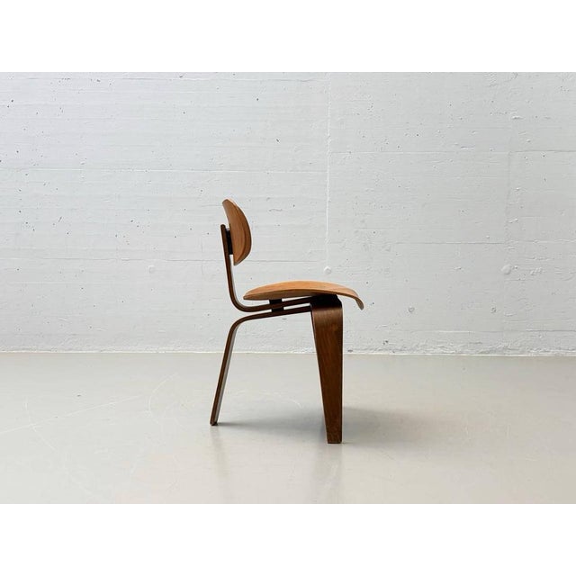 Wood SE 42 3-Legged Chair by Egon Eiermann for Wilde & Spieth, 1950s For Sale - Image 7 of 16