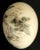 Beautiful Chinese Vintage Hand-Painted Decorative Natural Egg Chinese Countryside Scenery Maker Mark Visible: Hand Signed...