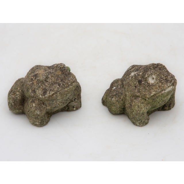 Frogs have long occupied a symbolic role in Japanese culture, where Kaeru signifies good fortune and safe return. Inspired...