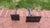 Metal Pair of Brutalist Welded Steel Figural Sculptures, American, Circa 1970s For Sale - Image 7 of 9