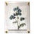 Blue Bells Flowers - Hand Textured Blue Flowers For Sale