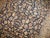 1930s Persian Pictorial Nain Rug - 5'2" x 6'8" For Sale - Image 4 of 5