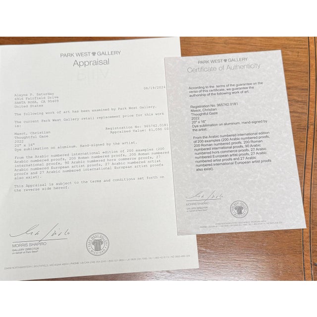 Circa 2022 Christian Masot "Thoughtful Gaze" For Sale - Image 9 of 12