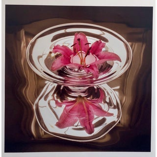 Peter C. Jones 1, Floating Lily, Large Format Photo 24X20 Color Photograph Beach House, 2004 For Sale