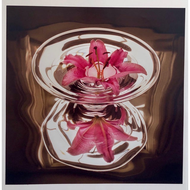 Peter C. Jones 1, Floating Lily, Large Format Photo 24X20 Color Photograph Beach House, 2004 For Sale