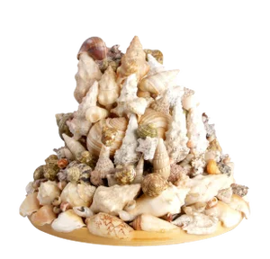 1980s Bob Gaylon Nautical Seashell Sculpture