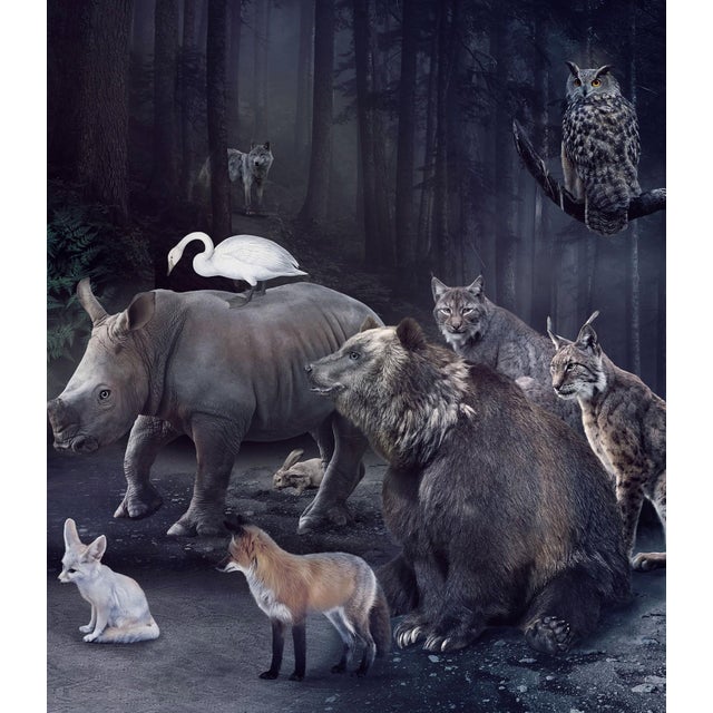 Tell Me More About the Forest by Marcin and Kate Owczarek | Digital Art featuring animals in a forest setting For Sale - Image 4 of 4