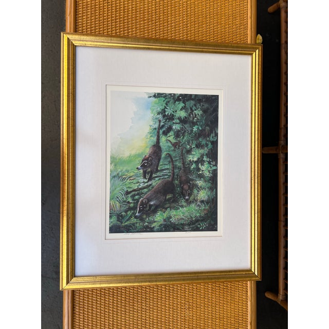 Vintage Framed Coatis Animal in the Woods Signed and Numbered For Sale In West Palm - Image 6 of 8