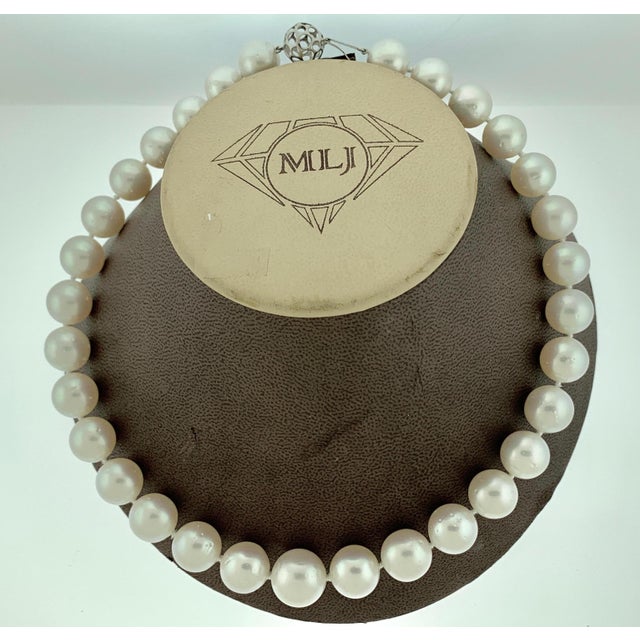 White South Sea Pearls Long Strand Necklace 14 Karat Gold Clasp For Sale - Image 17 of 18