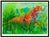 Abstract Expressionism Prowling Leopard, LeRoy Neiman For Sale - Image 3 of 6