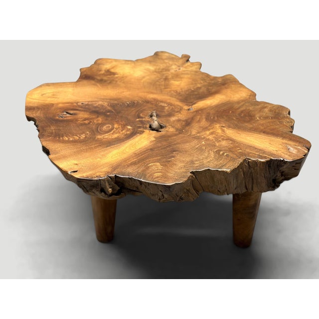 Andrianna Shamaris Mid Century Style Live Edge Coffee Table For Sale - Image 13 of 18