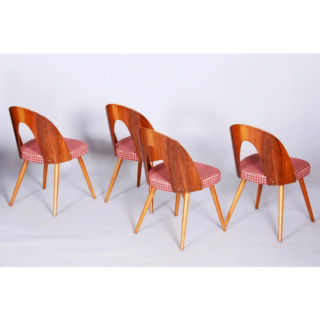 Brown Mid-Century Dining Chairs attributed to Antonín Šuman in Beech & Walnut, Czech, 1950s, Set of 4 For Sale - Image 8 of 11