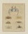 Bertuch, Exotic Crabs & Fiddler Crab, 1813, Engraving For Sale - Image 3 of 9