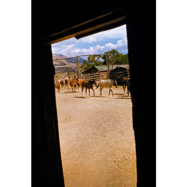 The Round Up by Toni Frissell Horses gathered in a paddock at a Wyoming dude ranch, 1955. (Photo by Toni Frissell) 16x12"...