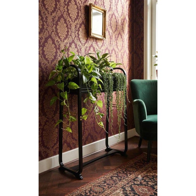An exceptionally rare and important Austrian Vienna Secession bentwood plant stand / jardinière (Model No. 9582), designed...