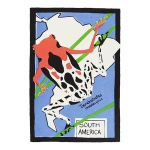 Small Contemporary South American Tree Frog Serigraph Poster
