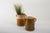 Rustic Grottaglie Ceramic Vase, Italy, 19th Century For Sale - Image 3 of 4
