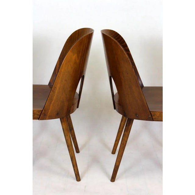 Oswald Haerdtl Wooden Chairs by Oswald Haerdtl for TON, 1950s, Set of 4 For Sale - Image 4 of 18