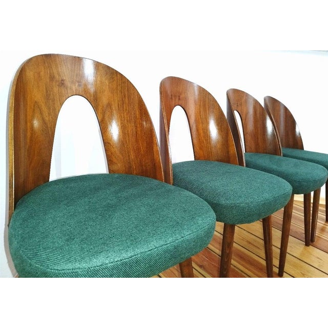 Dining Chairs by A. Suman for Tatra Nabytok, Former Czechoslovakia, 1960s, Set of 4 For Sale - Image 3 of 18