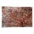Large 40"x60" Autumn Tree Canopy Photo Print Fall Foliage Acrylic Wall Art Decor For Sale