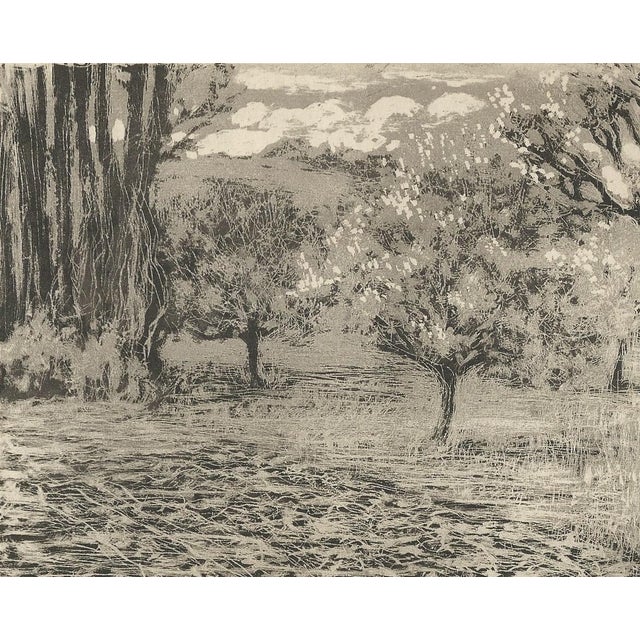 Raphaël Drouart, La Cave Aus Fées (The Fairies' Cave), 1920s, Etching For Sale - Image 3 of 10