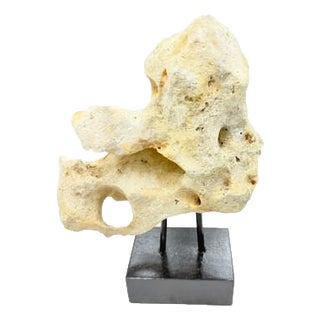 Indonesian Coral Stone On Teak Stand For Sale