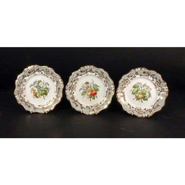Coalport Porcelain English Porcelain Botanical Fruit Dessert Service, Attributed to Coalport Circa 1830 For Sale - Image 4 of 11