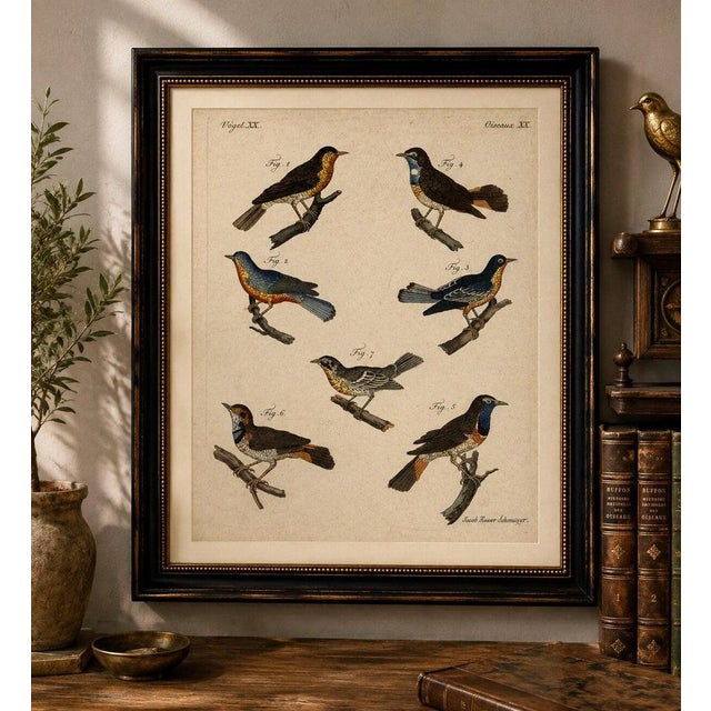 Original antique print of seven robins, bluethroats and yellowthroats by bertuch, 1796 original antique hand-colored...