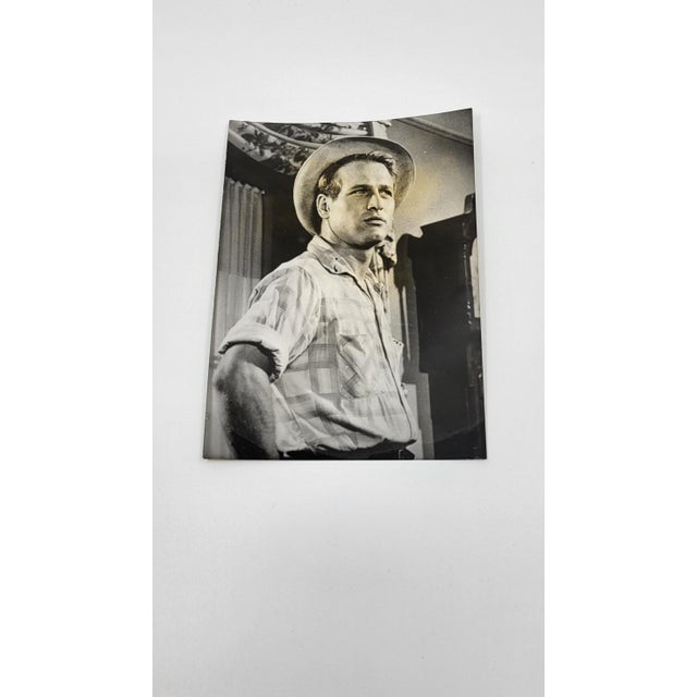 1950s Unknown, Photographs of Paul Newman, Sofia Loren, and Joanne Woodward, 1950s, Photographic Paper, Set of 4 For Sale - Image 5 of 9