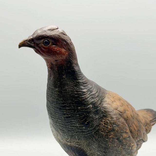 19th Century Franz Bergman, Partridge, 1890s, Bronze For Sale - Image 5 of 8