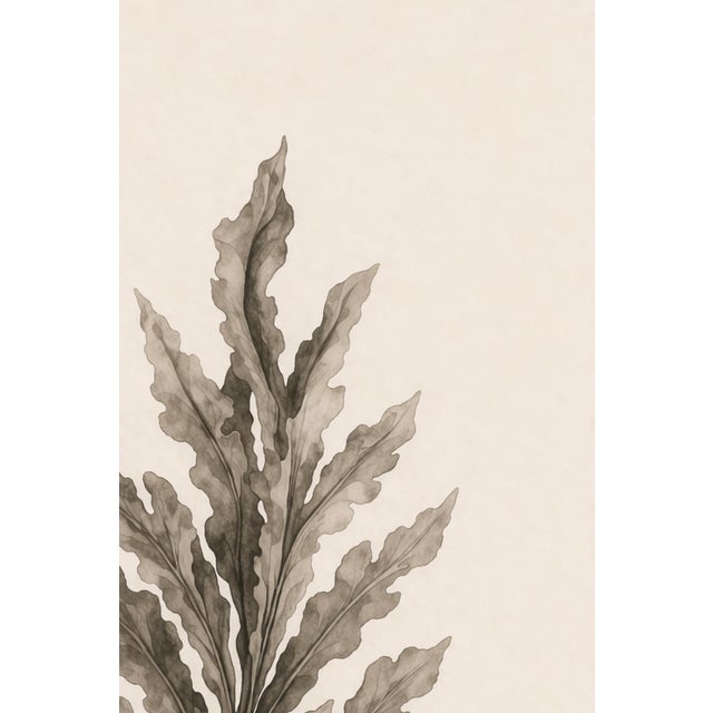 Paper Botanical Seaweed Study Vii, Minimalist Coastal Art Print, 24" × 36" Reproduction For Sale - Image 7 of 10