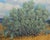Fred Darge Green, Yellow, and Blue Abstract Impressionist Western Desert Landscape, Mid-20th Century For Sale - Image 10 of 12