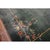 1930s Solid Green Field Floral Antique Chinese Art Deco Carpet Rug For Sale - Image 9 of 9