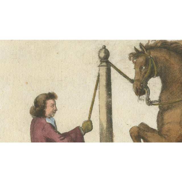 Paper William Cavendish, Levade Horse Training, 1700s, Engraving For Sale - Image 7 of 12