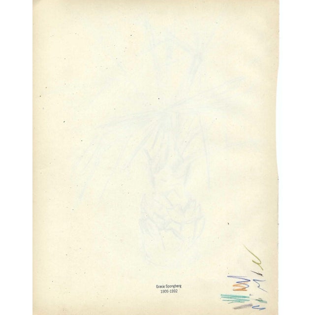 Boho Chic 1940s Grace Spongberg Palm Tree Drawing For Sale - Image 3 of 3
