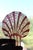 Rhinestone and Celluloid Art Deco Comb - Hair comb - shell comb - pink comb - hairstyle - pink rhinestone comb - celluloid comb - seashell For Sale - Image 9 of 10