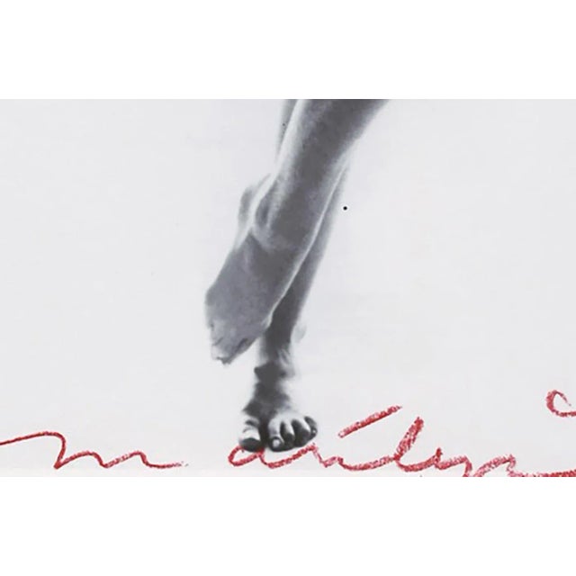 Early 21st Century Bert Stern, Marilyn Monroe Black and White Scarf, 2012, Photographic Print For Sale - Image 5 of 6