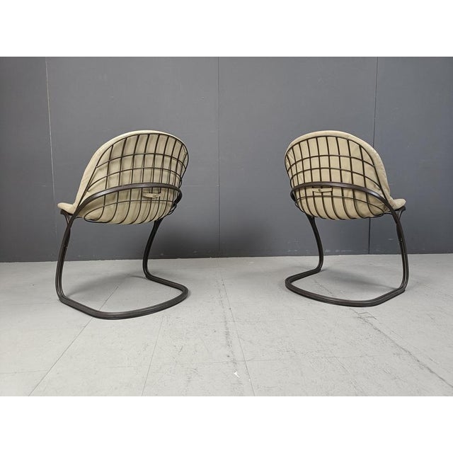 Pascale Dining Chairs by Gastone Rinaldi, 1970s, Set of 5 For Sale - Image 10 of 12