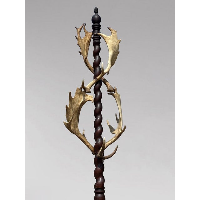 Antique Antler Coat Stand by J. Parker of Woodstock, 1850 For Sale - Image 4 of 12