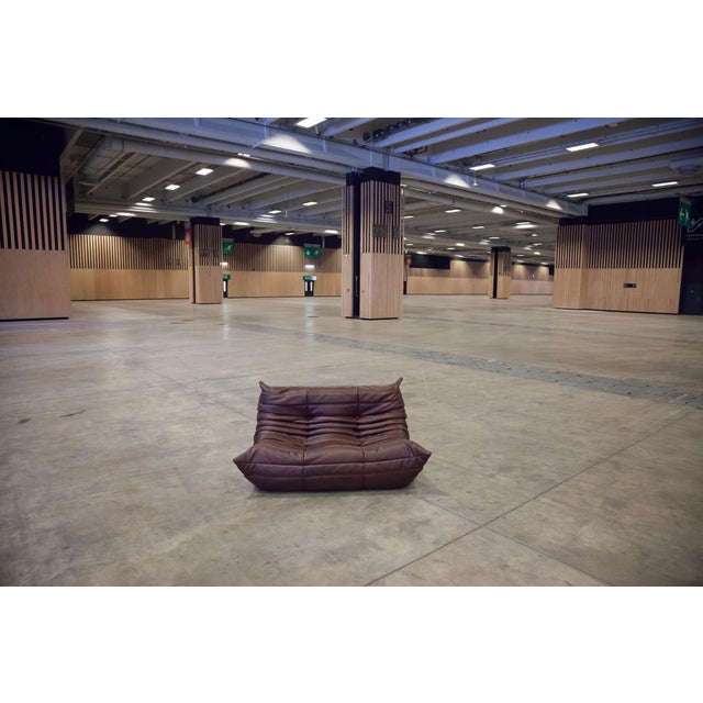 Chocolate Brown Leather Togo Sofa, 1970s, Set of 5 For Sale - Image 10 of 12