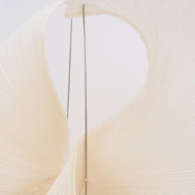 Yoruba Rose Table Lamp by Dagmar Mombach & Ingo Maurer for Ingo Maurer, 2010s For Sale - Image 9 of 18
