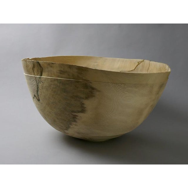 Green Rope Bowl in Hackberry Wood by Yann Marot For Sale - Image 8 of 12